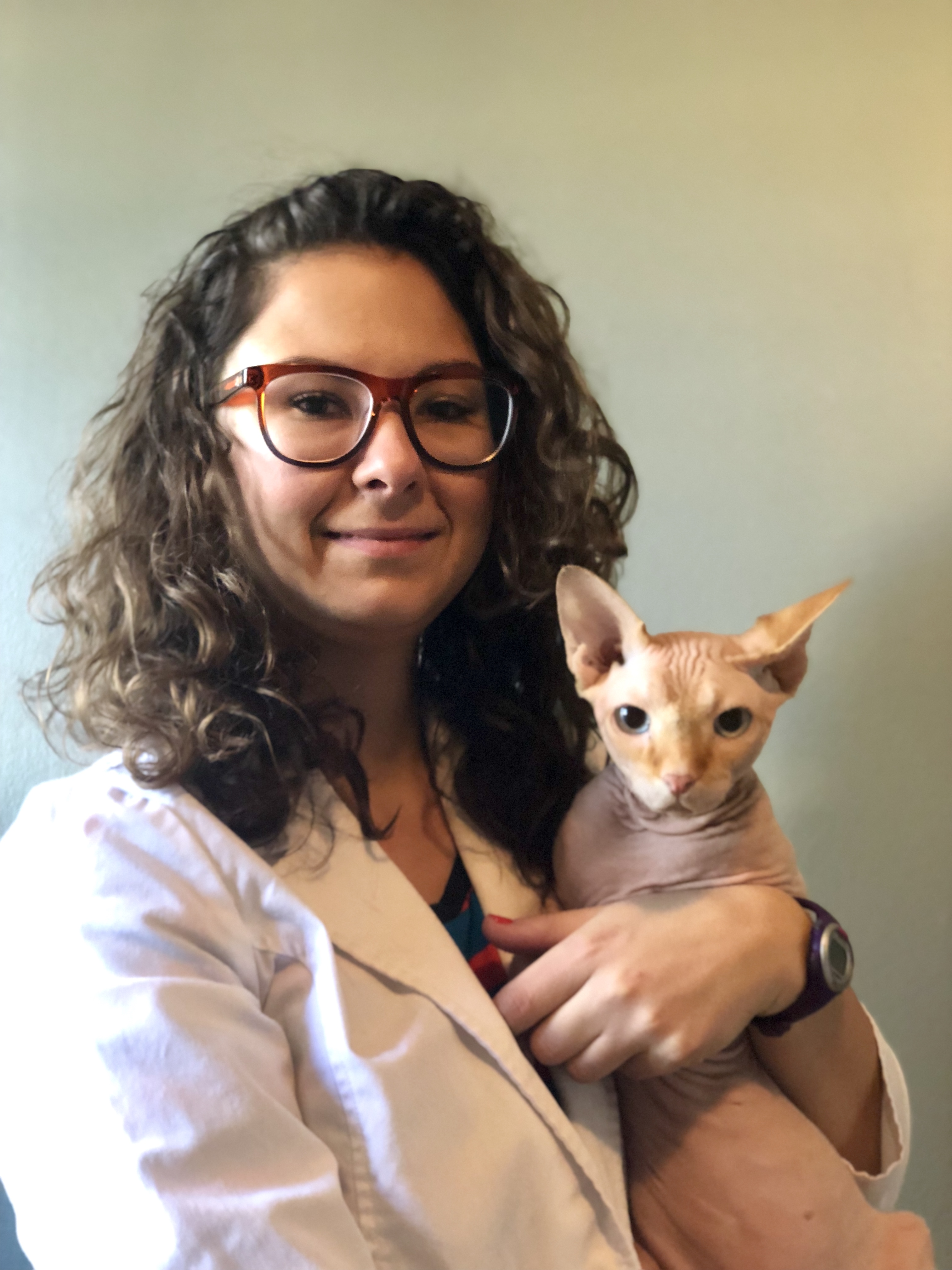 Dr. Samantha Wlazlo with a cat