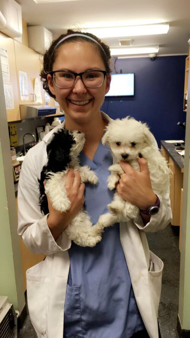 Dr. Samantha Wlazlo holding a puppy in each hand